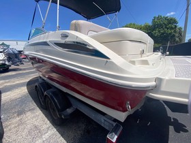 2010 Sea Ray 220 Sundeck