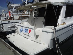 1995 Bayliner 3988 Command Bridge za prodaju