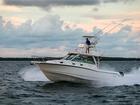 Купить 2022 Boston Whaler 345 Conquest