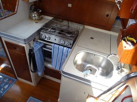 1977 Nicholson 35 à vendre