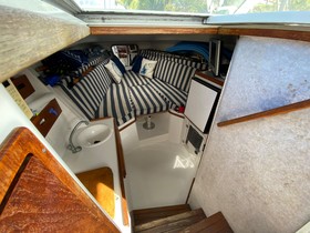2001 Contender 35 Express for sale