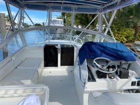 2001 Contender 35 Express for sale