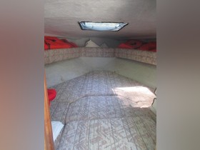 1989 Sea Ray 220 Cuddy Cabin на продаж