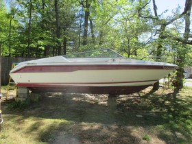 Buy 1989 Sea Ray 220 Cuddy Cabin