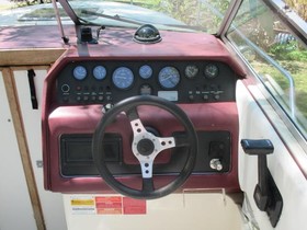 Buy 1989 Sea Ray 220 Cuddy Cabin