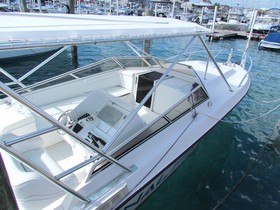 Buy 2001 Contender 35 Express