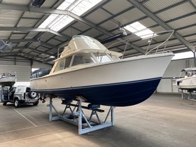 Buy 1975 Bertram 31 Flybridge Cruiser