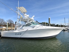 Buy 1998 Cabo 31 Express