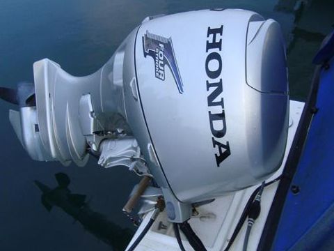 2008 Dolphin 19 for sale