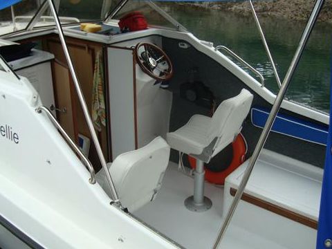 2008 Dolphin 19
