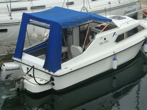 Buy 2008 Dolphin 19