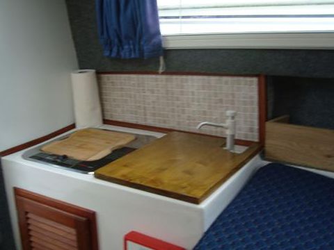 2008 Dolphin 19 for sale