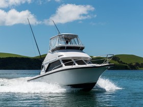 Buy 1990 Phoenix Sfx 29