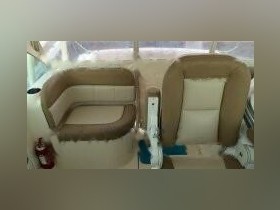 Buy 2011 Scout 35