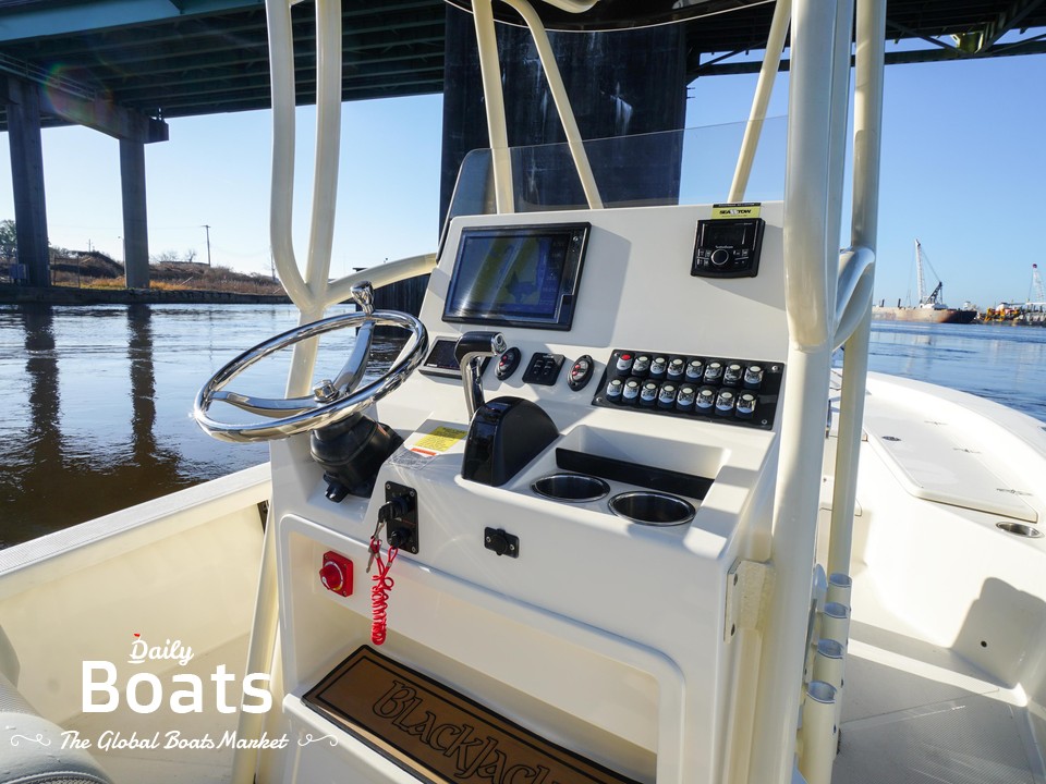 2017 BlackJack 256 for sale. View price, photos and Buy 2017 BlackJack