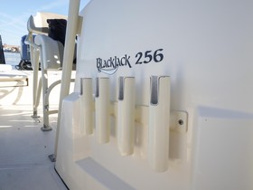 2017 BlackJack 256 for sale
