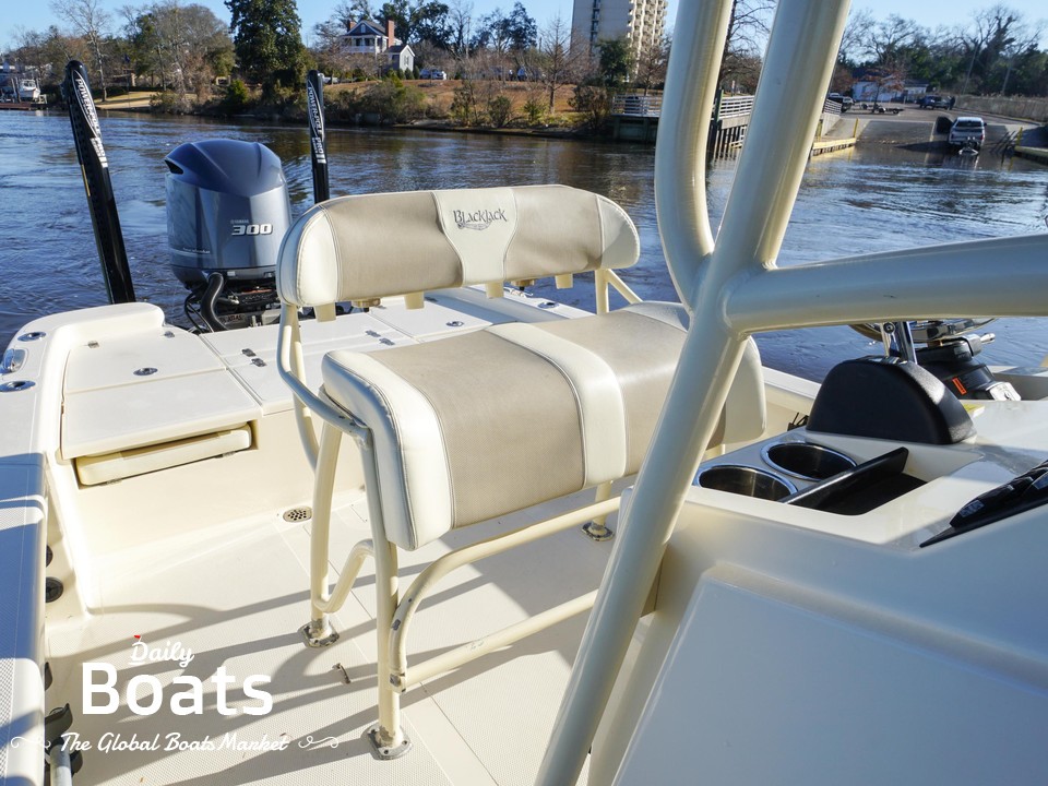 2017 BlackJack 256 for sale. View price, photos and Buy 2017 BlackJack