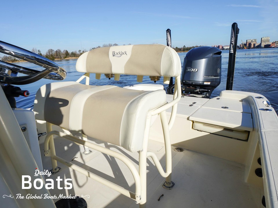 2017 BlackJack 256 for sale. View price, photos and Buy 2017 BlackJack