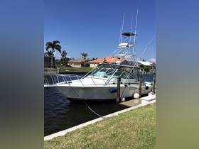 Buy 1998 Cabo 35 Express