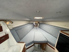 Buy 1995 Contender 35 Express Side Console