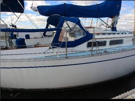 Buy 1984 CAL 35-2