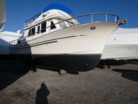 Comprar 1987 Newburyport 37 Trunk Cabin Trawler