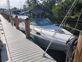 2010 Sea Ray 240 Sundancer kopen