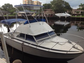Buy 1974 Bertram 28 Flybridge Cruiser