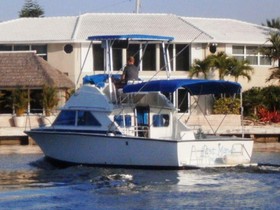 Buy 1974 Bertram 28 Flybridge Cruiser