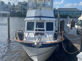 Buy 1985 CHB Senator