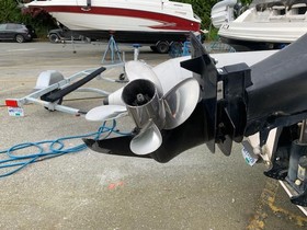 Buy 2007 Endurance Rib