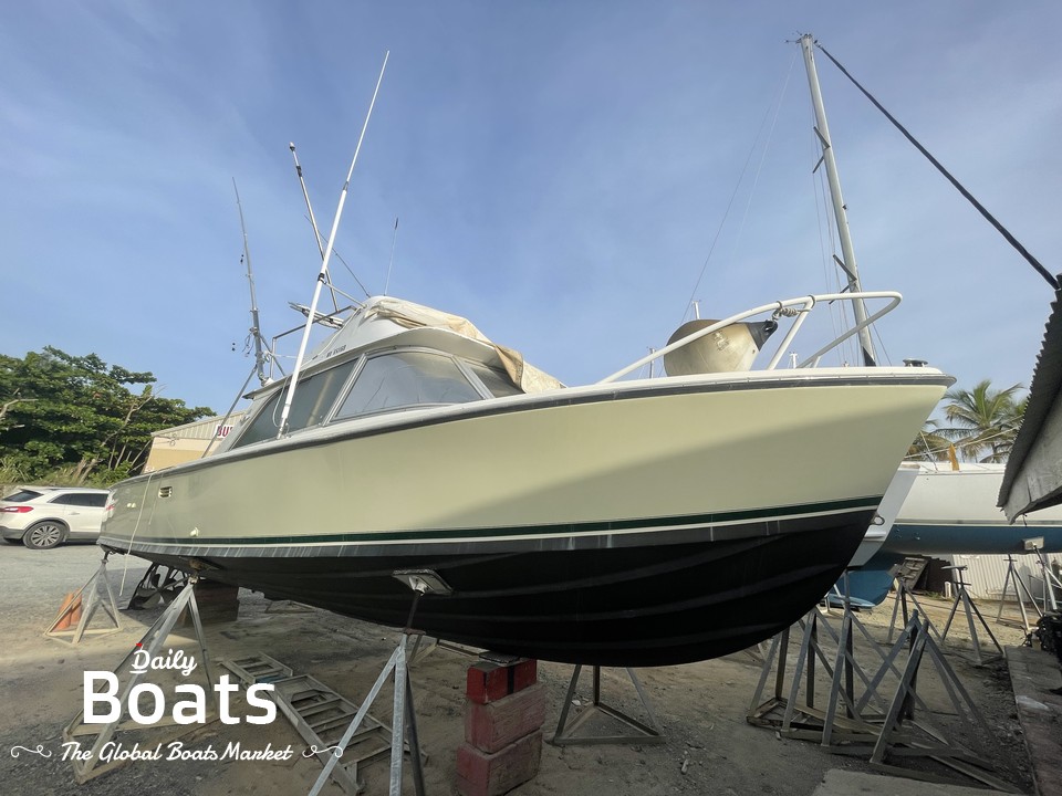 1973 Bertram 31