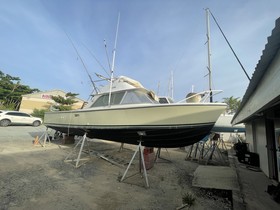 Buy 1973 Bertram 31