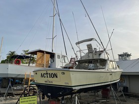 1973 Bertram 31