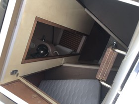 Buy 1994 Maiora 20