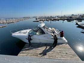 Sea Ray 310 Sundancer