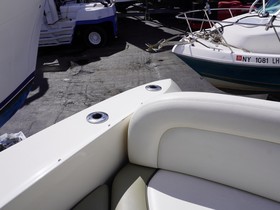 Osta 2007 Sea Ray 310 Sundancer