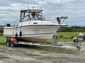 Buy 2003 Trophy 2509 Walkaround