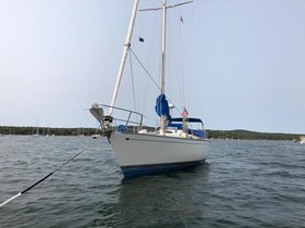 1978 Peterson New York 40 for sale
