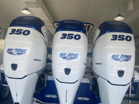 2017 Deep Impact 36Open in vendita