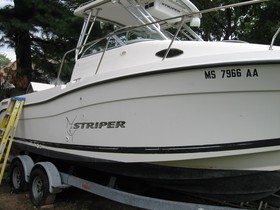 Seaswirl Striper