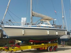 Acquistare 1994 Compromis 39 Class