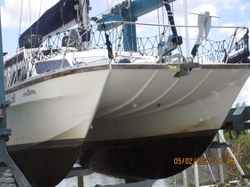 Buy 1985 Catalac Catamaran