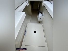 2021 Sea Ray Sdx 250 Outboard προς πώληση