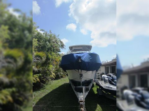 Buy 1995 Pro Line 2950