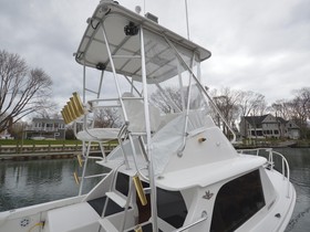 1973 Bertram 31 Flybridge Cruiser zu verkaufen