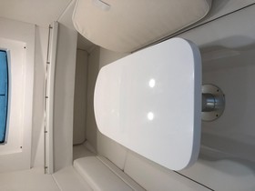 2020 Intrepid 407