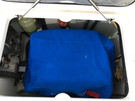 Acquistare 2020 Intrepid 407