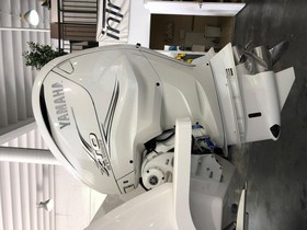 2020 Intrepid 407
