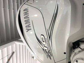 Acquistare 2020 Intrepid 407